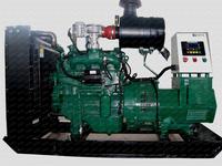 30kw natural gas genset