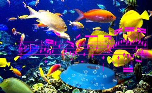 Aqua Speaker UWS-045