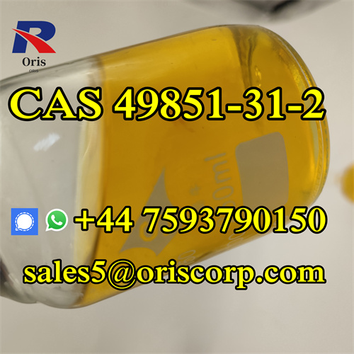 Fast Delivery CAS 49851 31 2
