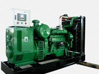 80kW Biogas Generator Set  