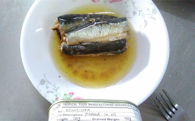 canned sardines with best sardines in oil
