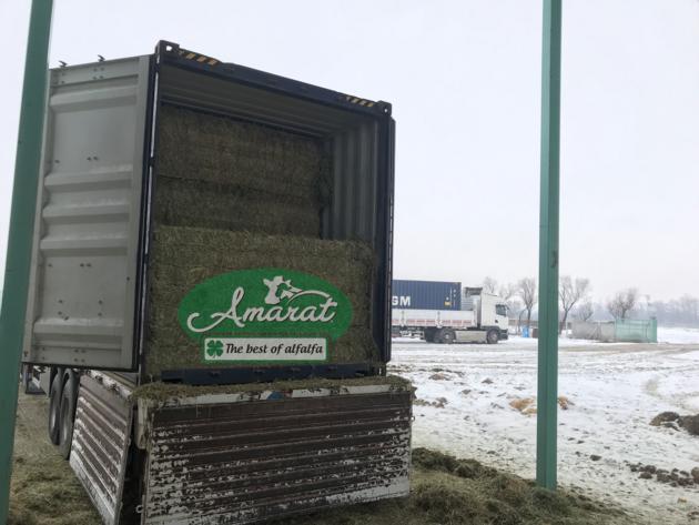 Alfalfa Hay Bale From Turkey