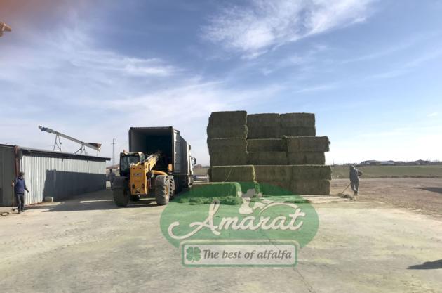 Alfalfa Hay Bale From Turkey