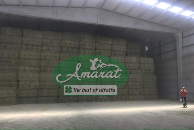 Alfalfa Hay Bale From Turkey