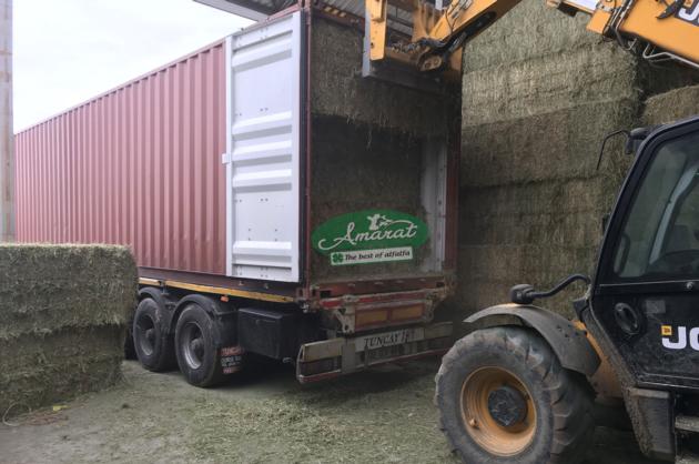 Alfalfa Hay Bale From Turkey
