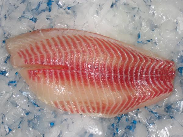 Frozen Tilapia Fillet