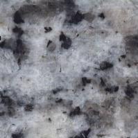 Supply Granite G640 Oriental White
