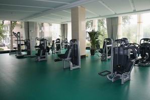 Gym flooring