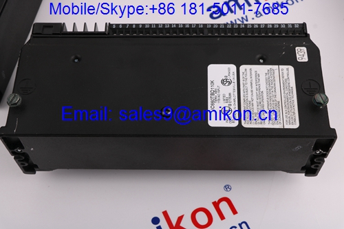 Analog Input	IC697ALG234	GE Fanuc