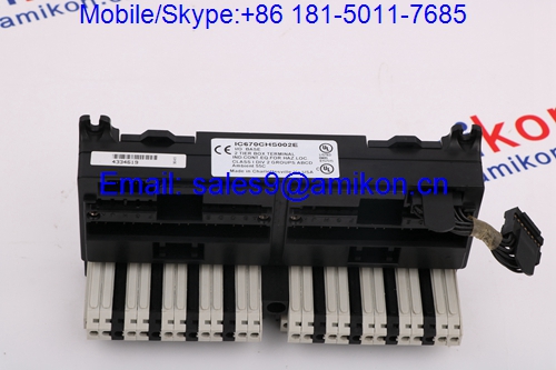 DLan Interface	IC697BEM763RR	GE Fanuc