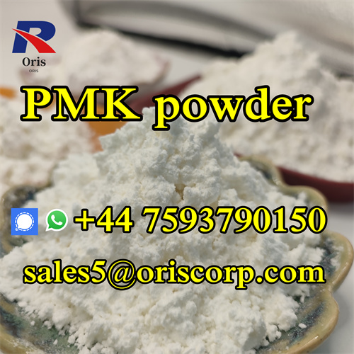 PMK Powder CAS 28578 16 7