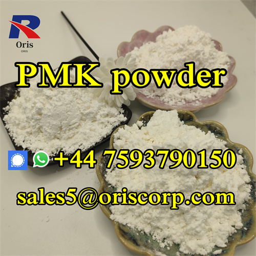 PMK Powder CAS 28578 16 7