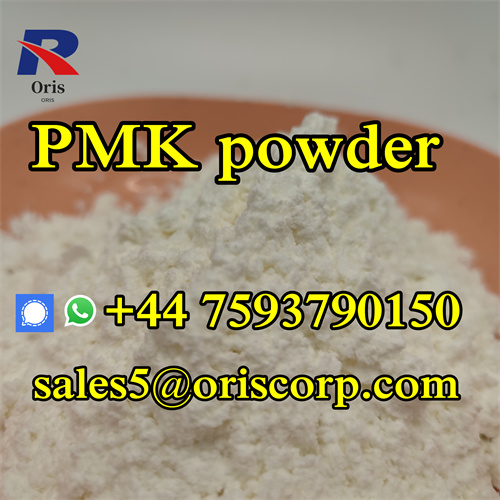 PMK Powder CAS 28578 16 7