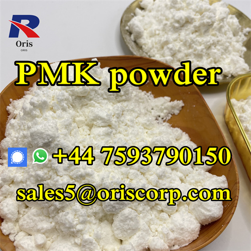 PMK Powder CAS 28578 16 7
