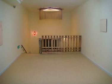 pvc floor