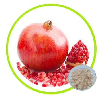 Pomegranate Husk Extract