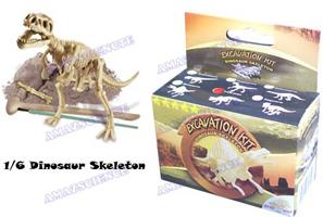 Dinosuar Skeleton
