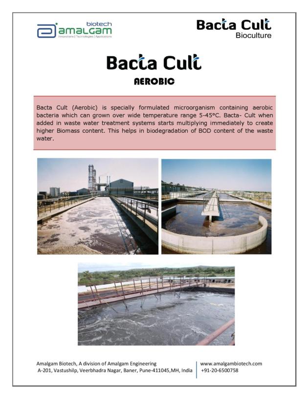 BACTA CULT Aerobic