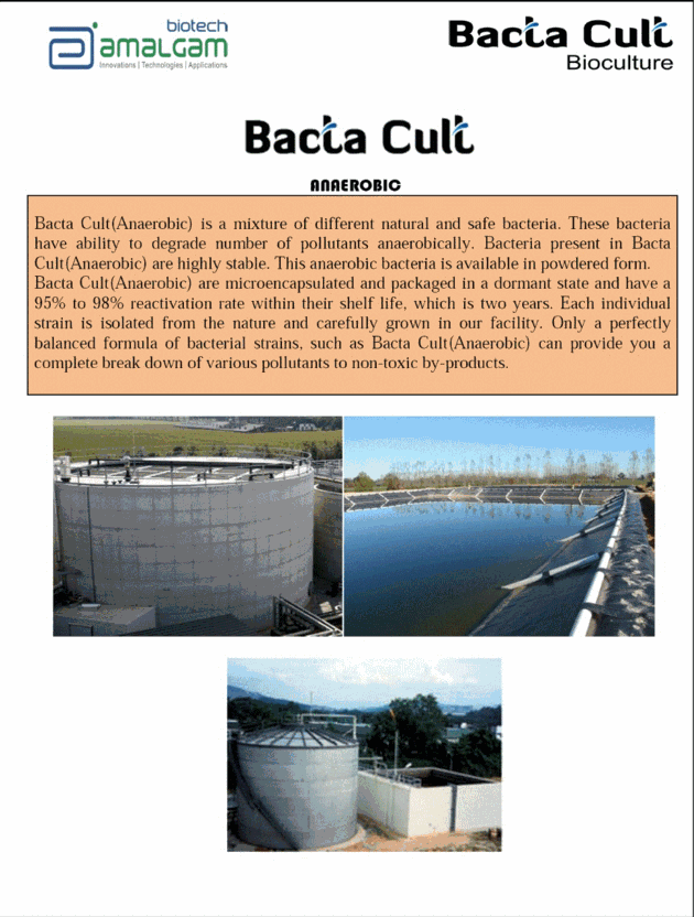 BACTA CULT
