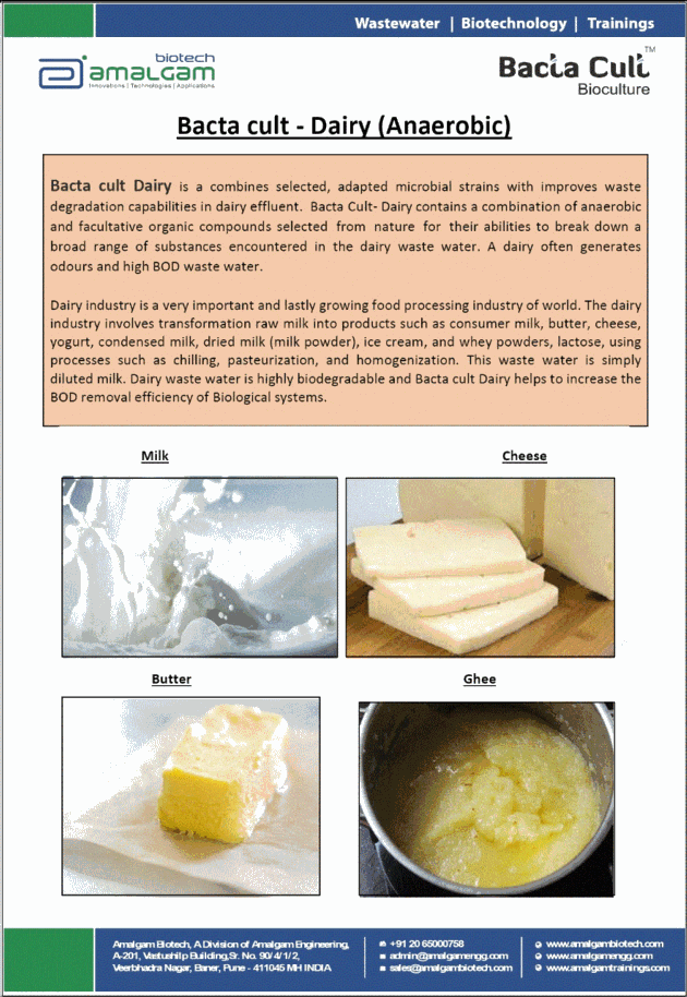 BACTA CULT Dairy