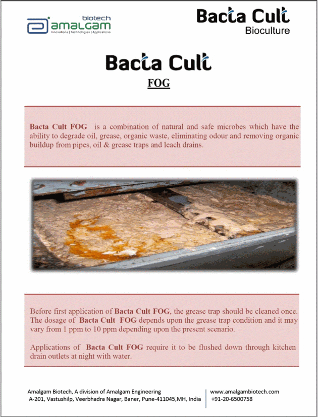 BACTA CULT FOG