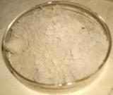 Ginkgo Biloba extract