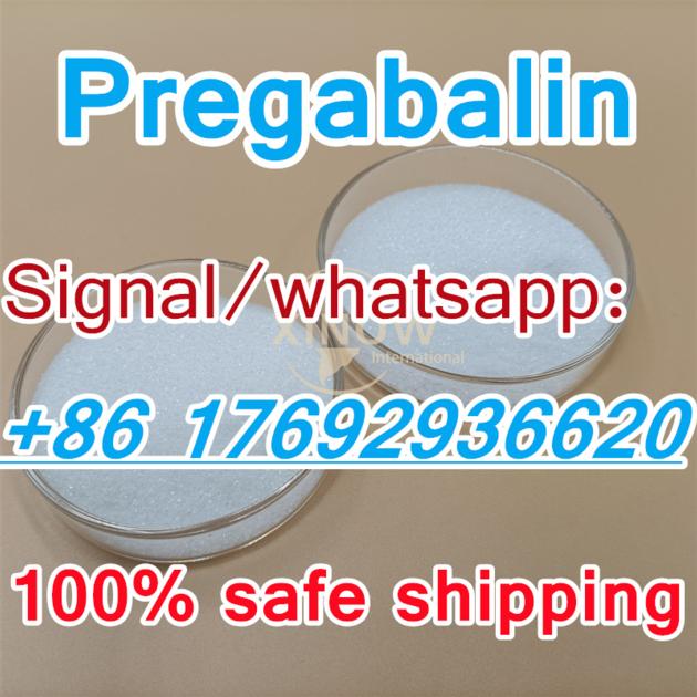 China Factory Supply 99 Pregabalin Powder