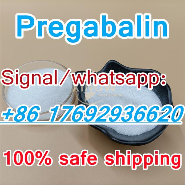 China Factory Supply 99 Pregabalin Powder