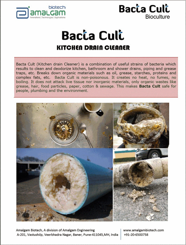 BACTA CULT Kitchen Drain Cleaner