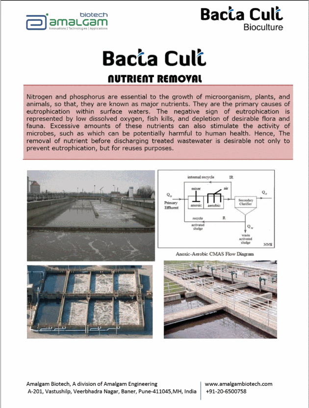 BACTA CULT Nutrient Removal