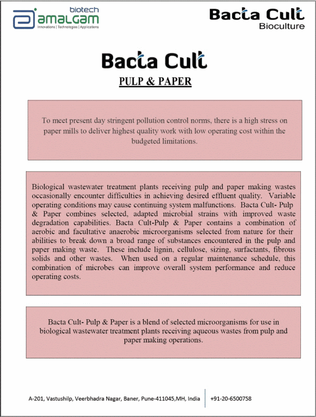 BACTA CULT Pulp and Paper