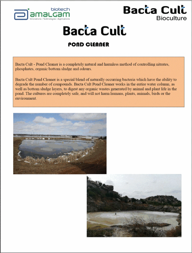 BACTA CULT Pond Cleaner