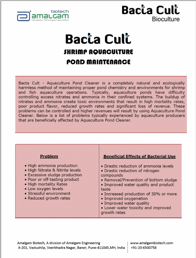 BACTA CULT Shrimp Aquaculture