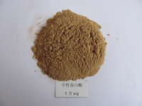 Neutral protease