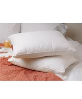 goose feather cushion  
