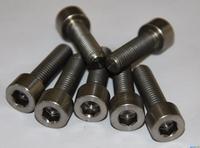 Titanium Screw