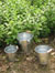 Gavalnized Bucket