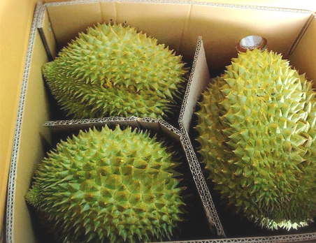 Monthong Durian