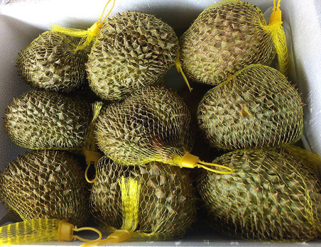 Monthong Durian