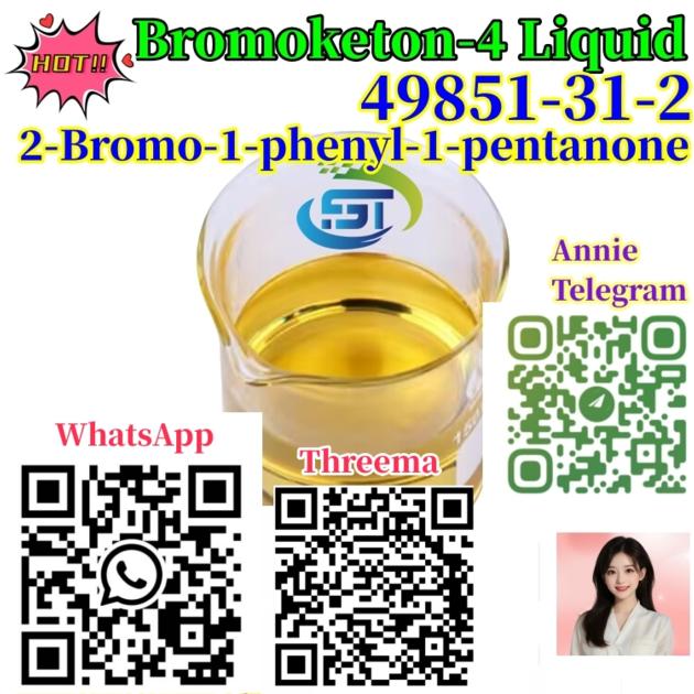 CAS 49851 31 2 2 Bromo