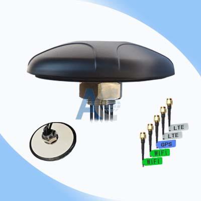 5 in 1 combination outdoor indoor screw antenna