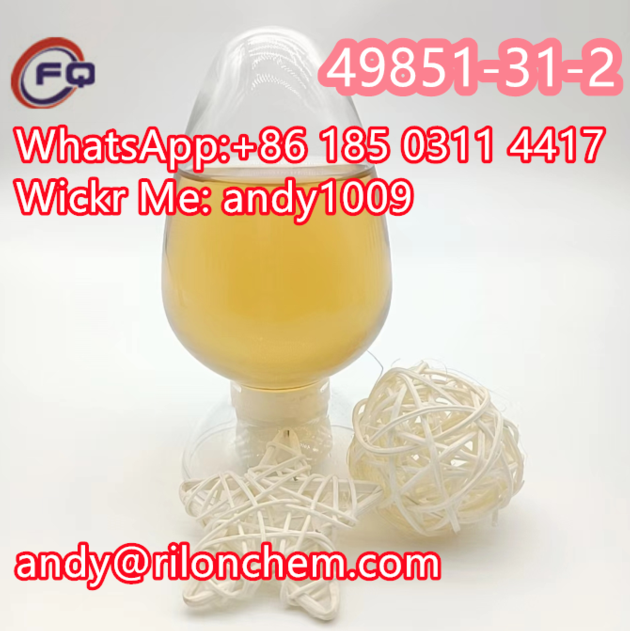 49851 31 2 2 Bromo 1
