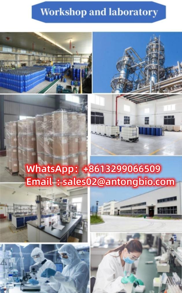 BMK Glycidic Acid Sodium Salt Cas
