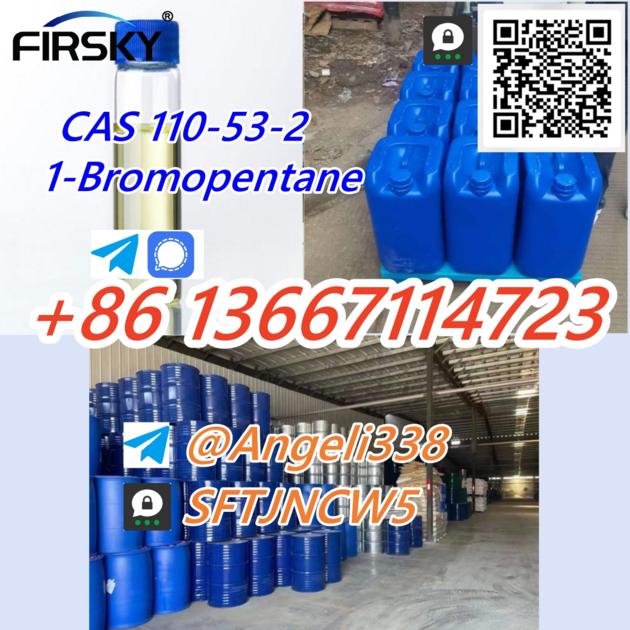 CAS 110 53 2 1 Bromopentane