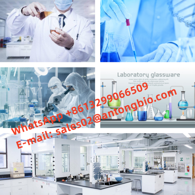Top Quality N CBZ 4 Piperidone