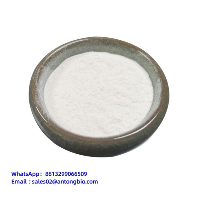 METHAMPHETAMINE cas 300-42-5 C10H15N.ClH