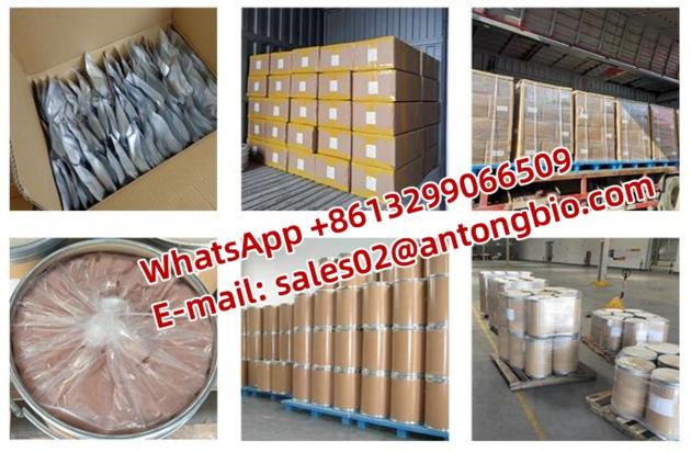 Top Quality N CBZ 4 Piperidone
