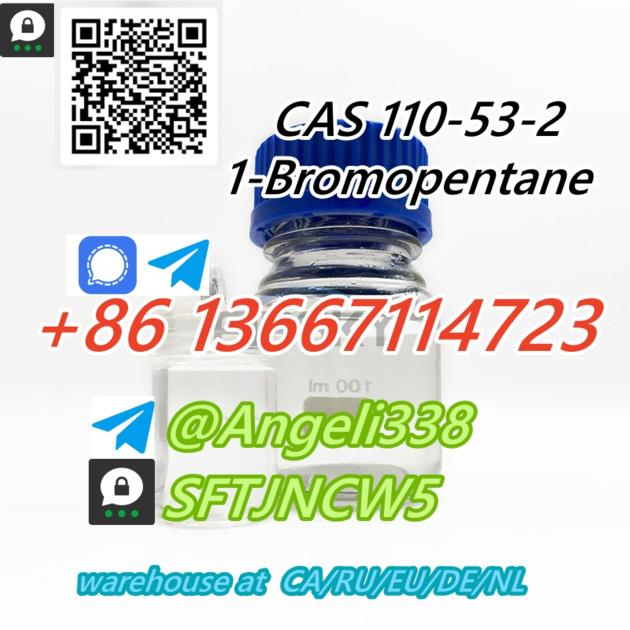 CAS 110 53 2 1 Bromopentane