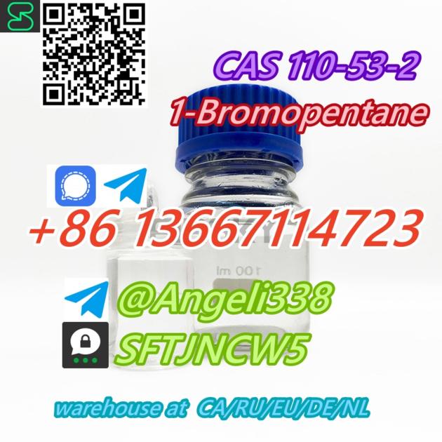 CAS 110 53 2 1 Bromopentane