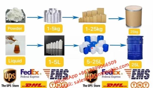 Top Quality N CBZ 4 Piperidone